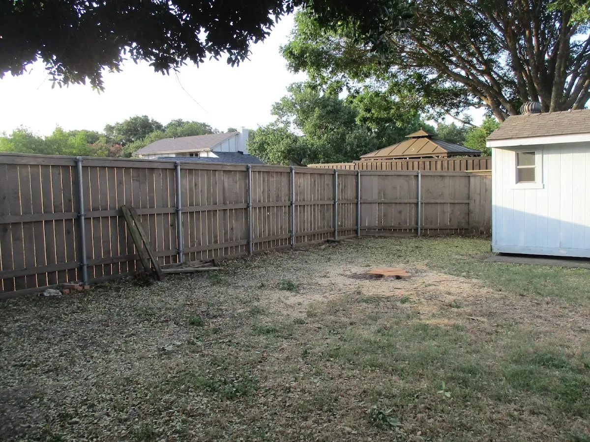 Cleared yard after professional tree removal in Seward